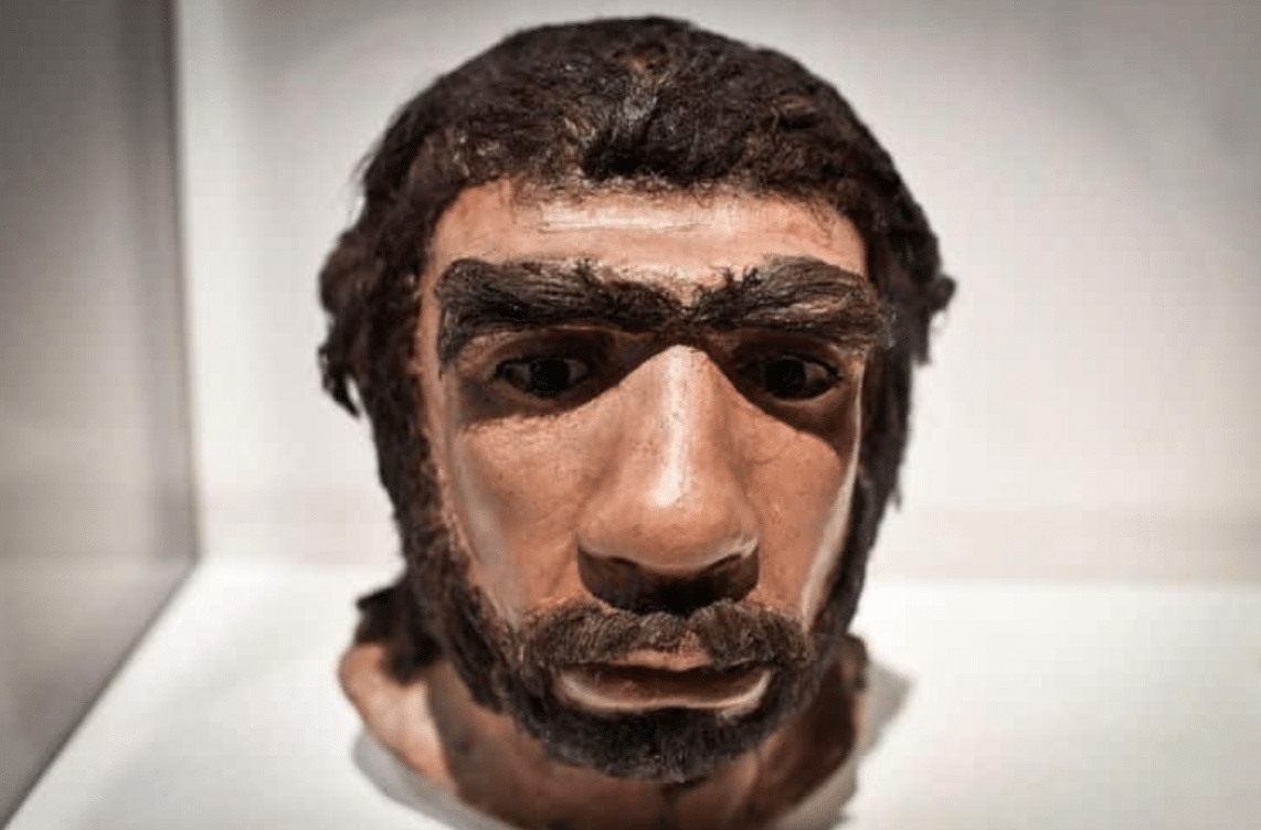 Manusia-Neanderthal