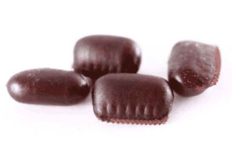 Proses Metamorfosis Pada Kecoa