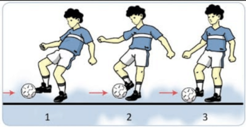 Teknik Menghentikan Bola