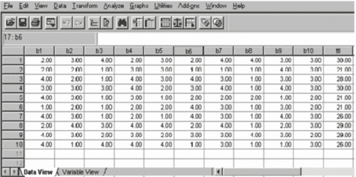 lembar kerja SPSS