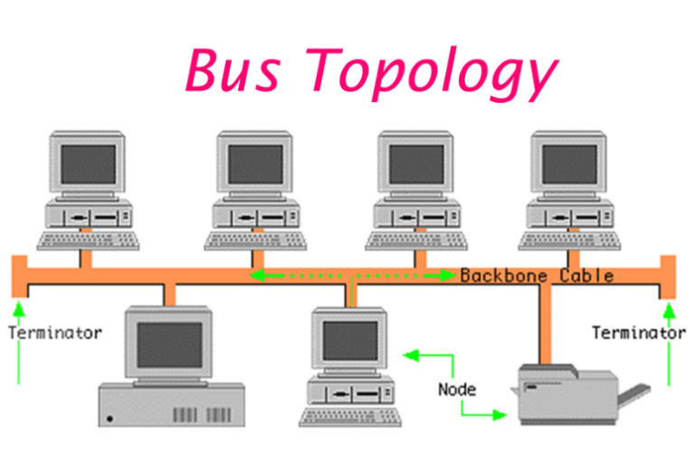 topologi bus